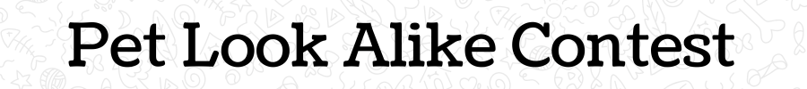 Pet Look Alike Contest