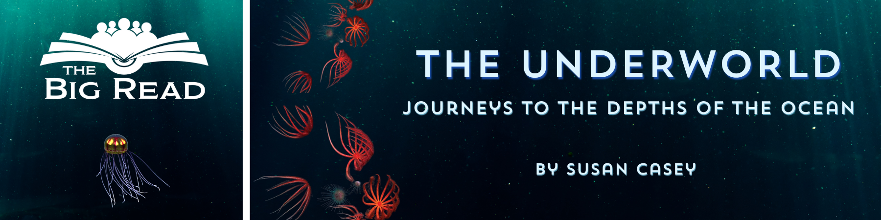 The Big Read Title: The Underworld by Susan Casey