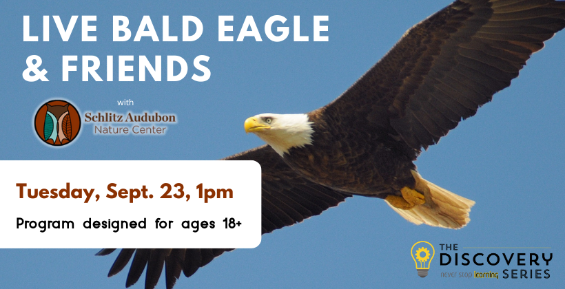 Live Bald Eagle and Friends Sept 23 at 1pm