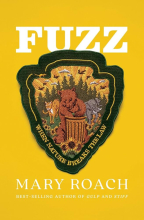 picture of Fuzz book cover: yellow with a clothing patch showing a bear